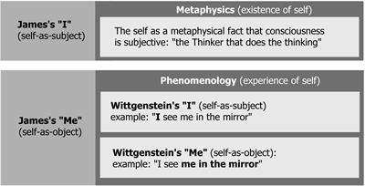 “I” and “Me”: The Self in the Context of Consciousness